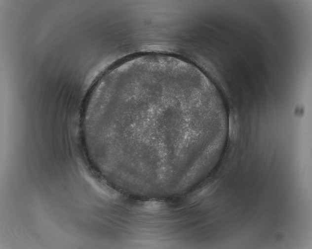 X0000112020204200908241522