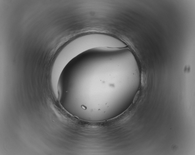 X0000112020205200908241522