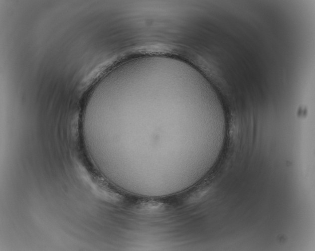 X0000112020206200908241522