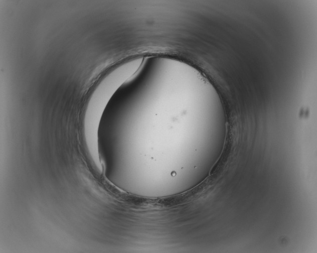 X0000112020207200908241522