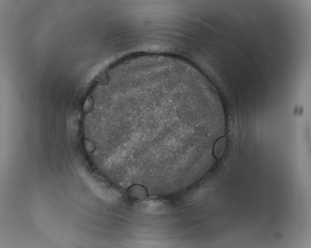 X0000112020208200908241522