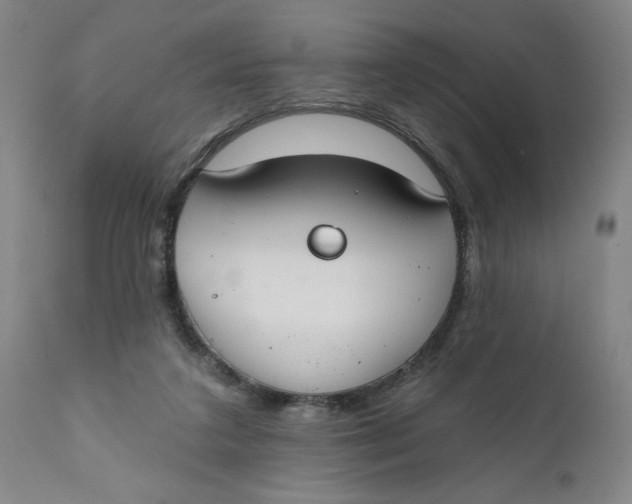 X0000112020211200908241522