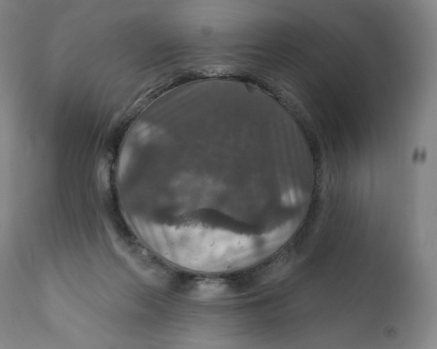 X0000112020214200908241522