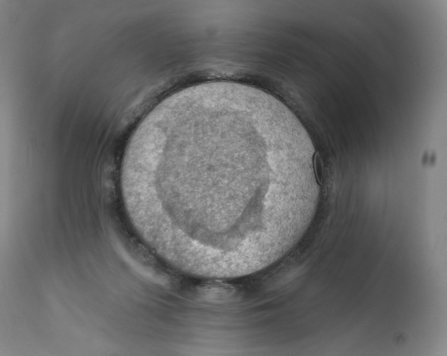 X0000112020215200908241522