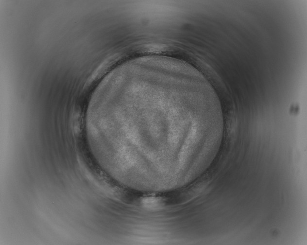 X0000112020216200908241522