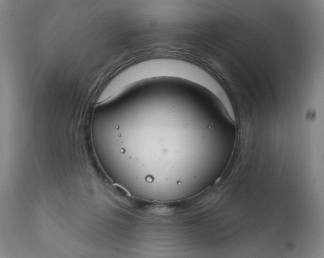 X0000112020217200908241522