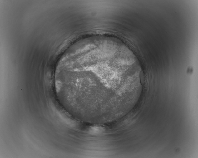 X0000112020220200908241522