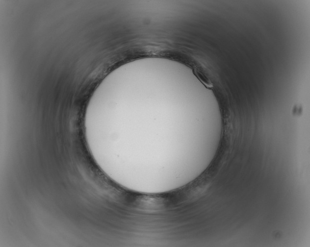 X0000112020221200908241522