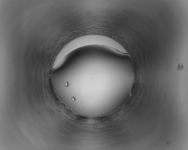 X0000112020223200908241522