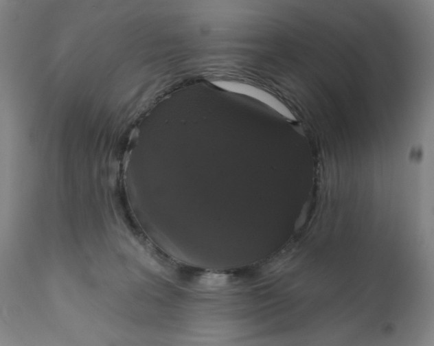 X0000112020227200908241522