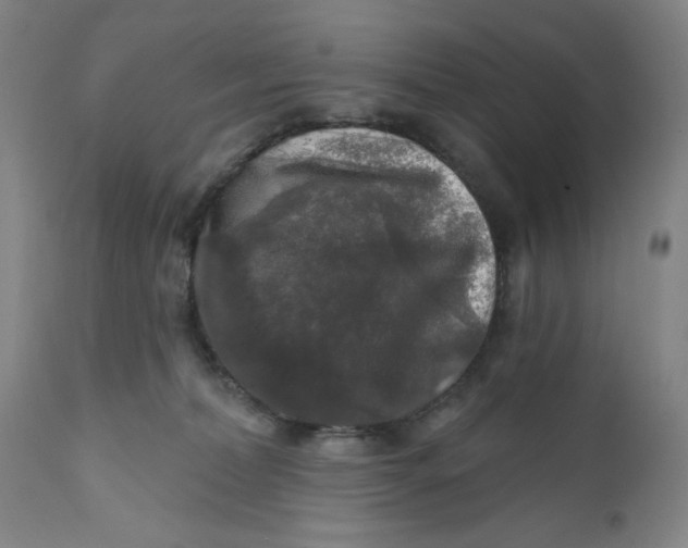 X0000112020228200908241522