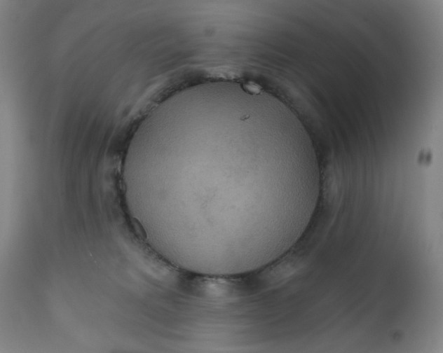 X0000112020229200908241522