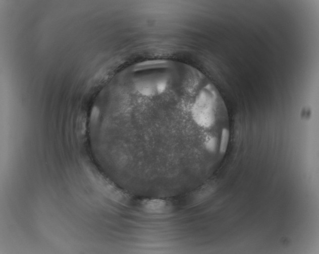 X0000112020230200908241522