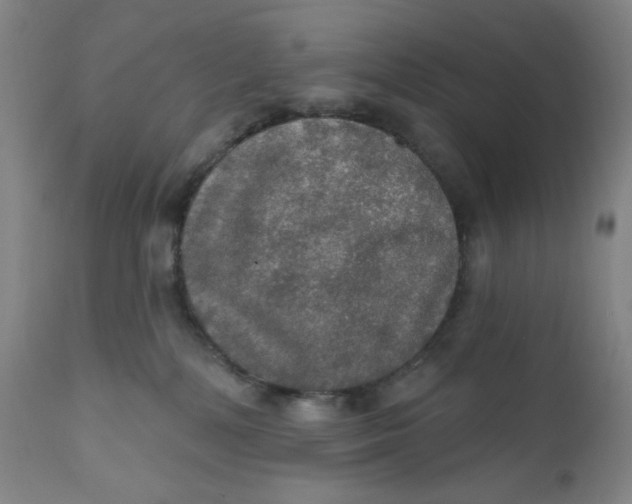 X0000112020232200908241522