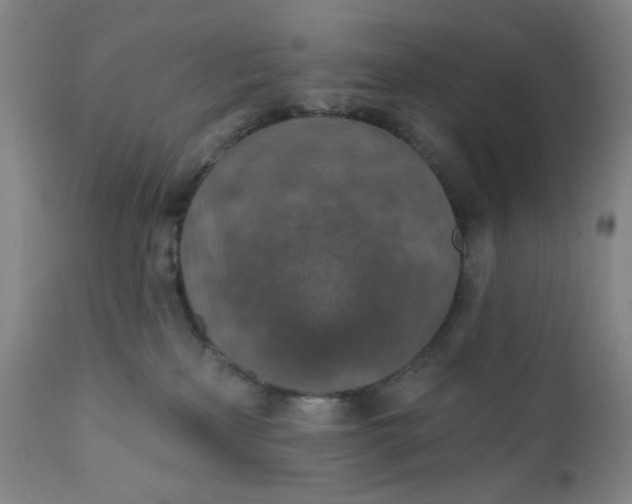 X0000112020233200908241522