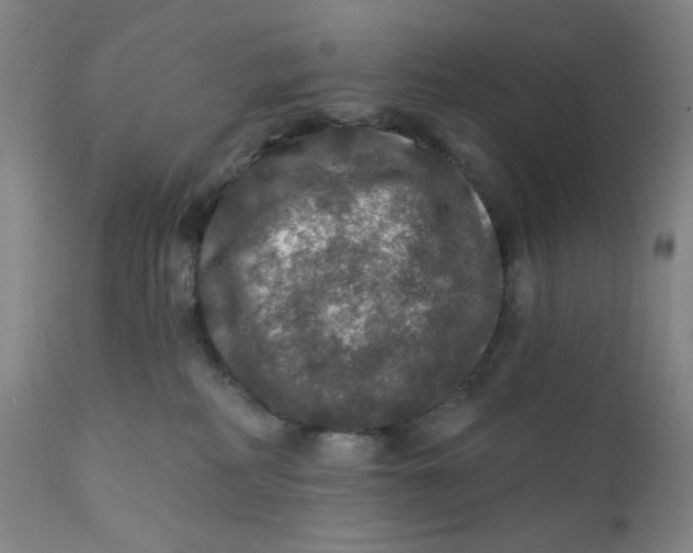 X0000112020234200908241522