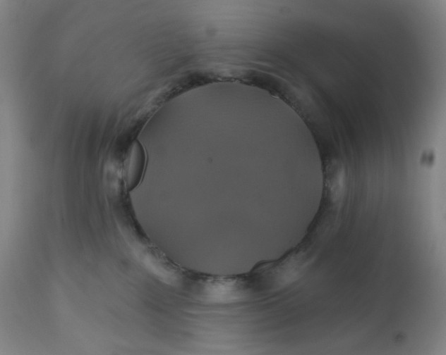 X0000112020235200908241522