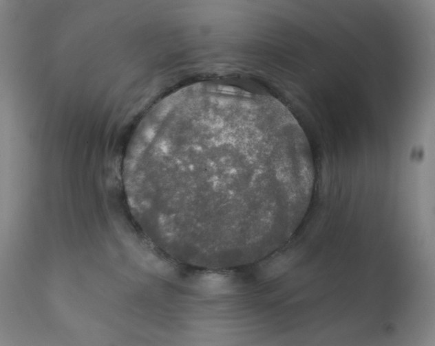 X0000112020236200908241522