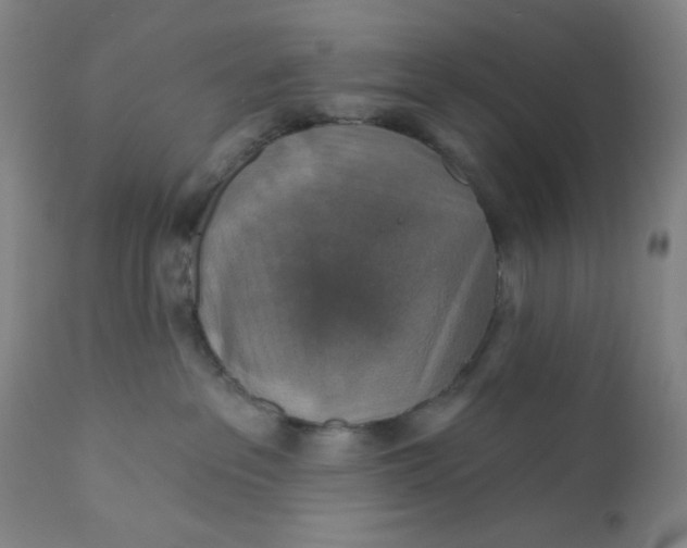 X0000112020237200908241522