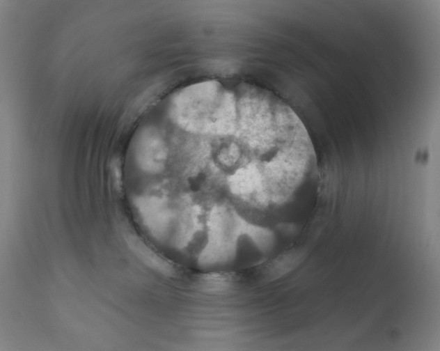 X0000112020238200908241522