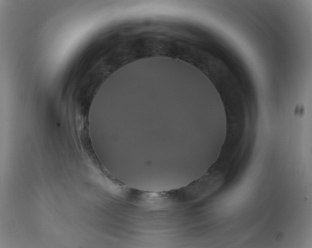 X0000112020239200908241522