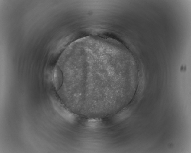 X0000112020240200908241522