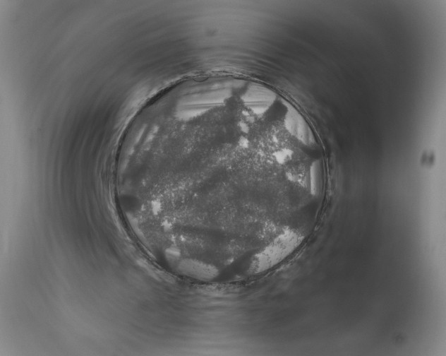 X0000112020241200908241521