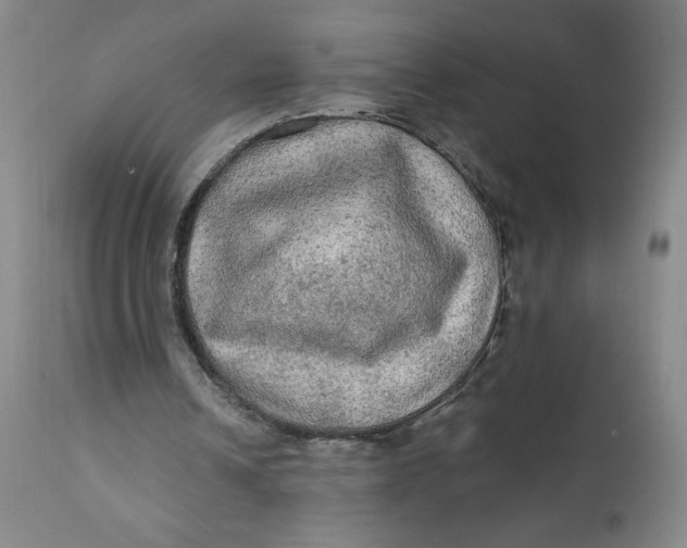 X0000112020242200908241521