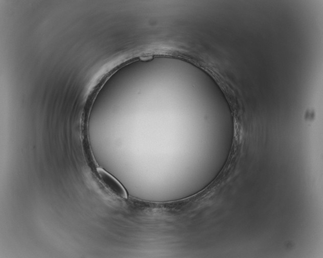 X0000112020244200908241521