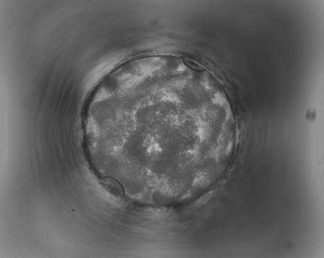 X0000112020245200908241521