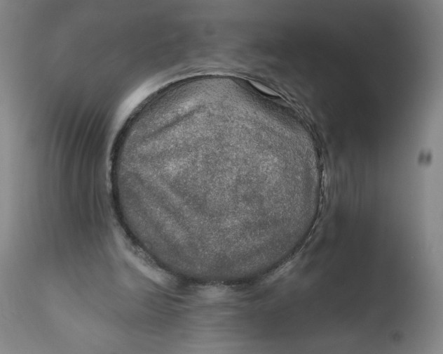 X0000112020246200908241521