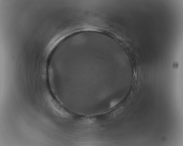 X0000112020247200908241521