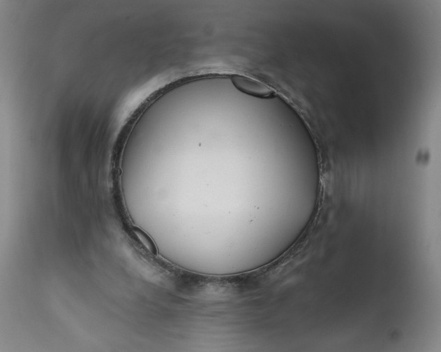 X0000112020248200908241521