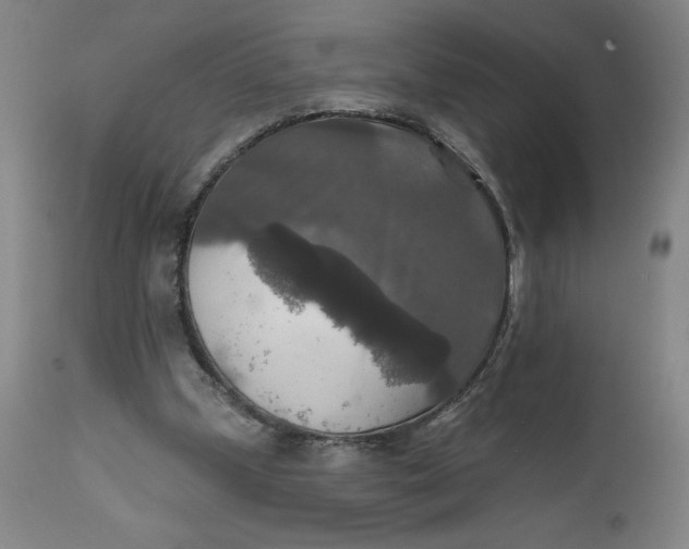 X0000112020249200908241521