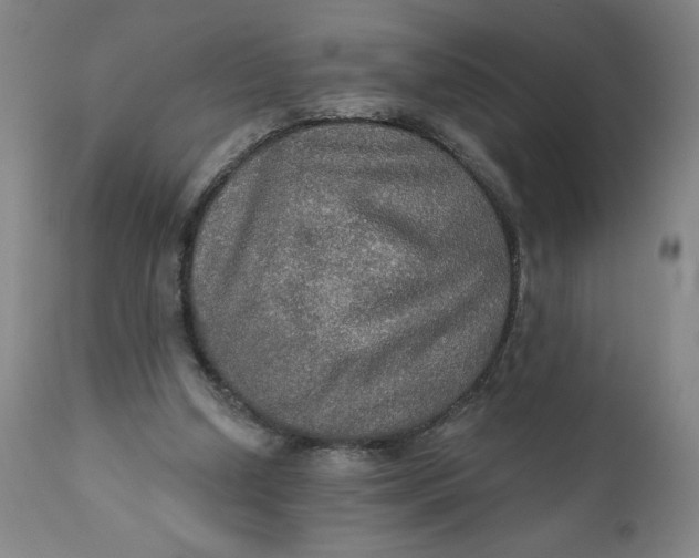 X0000112020250200908241521