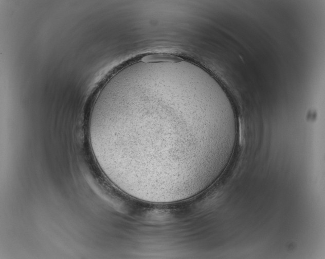 X0000112020252200908241521