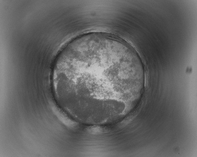 X0000112020253200908241521