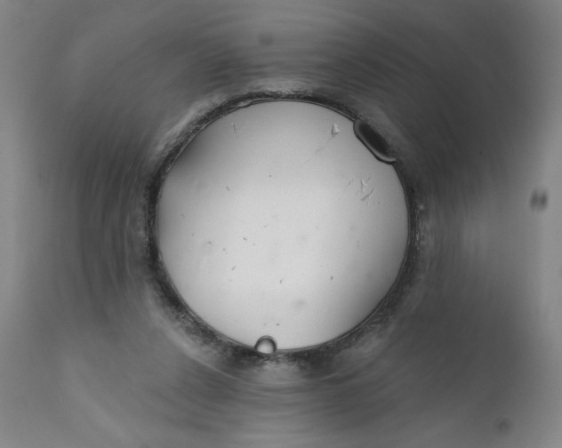 X0000112020256200908241522