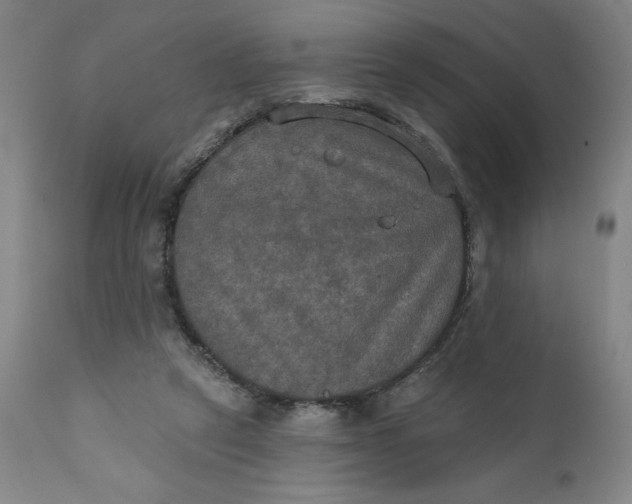 X0000112020257200908241522