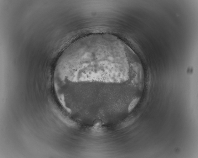 X0000112020261200908241522