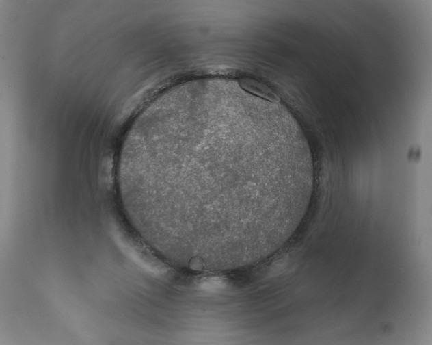 X0000112020262200908241522