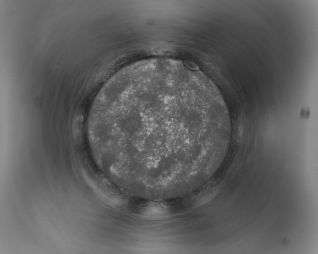 X0000112020263200908241522