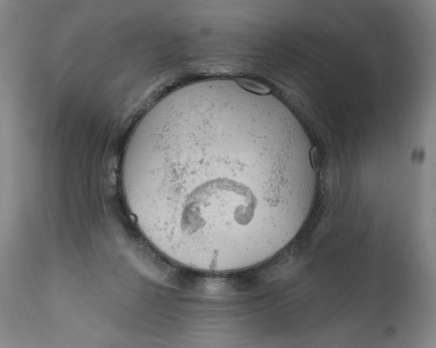 X0000112020264200908241522