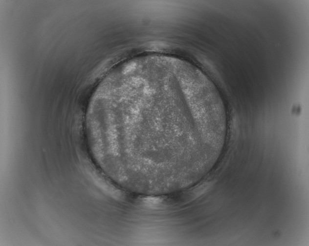 X0000112020265200908241522