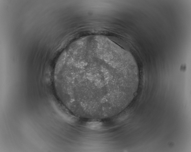 X0000112020266200908241522