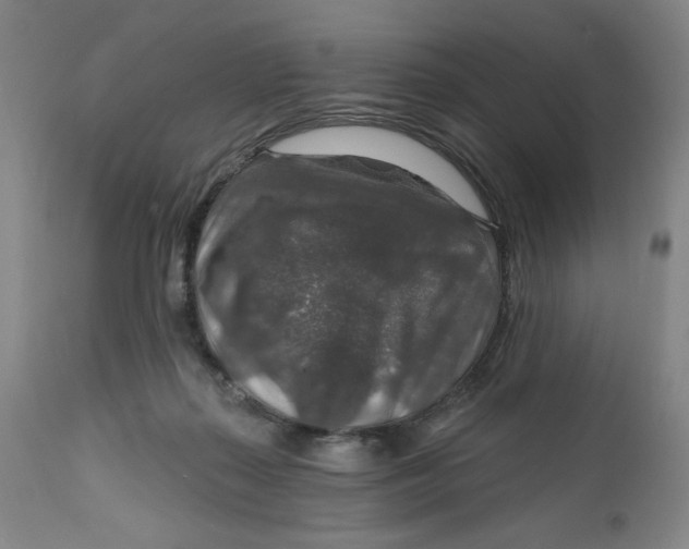 X0000112020267200908241522