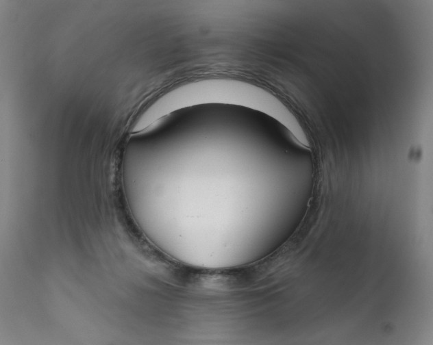 X0000112020268200908241522