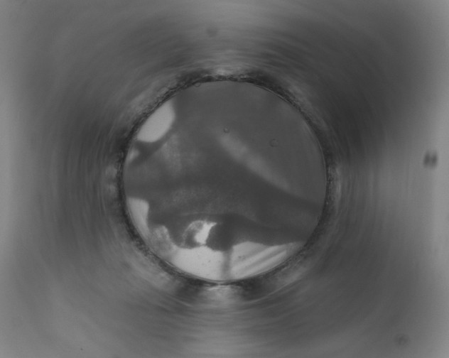 X0000112020269200908241522