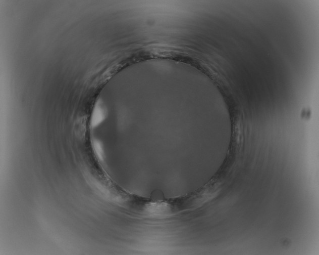 X0000112020271200908241522