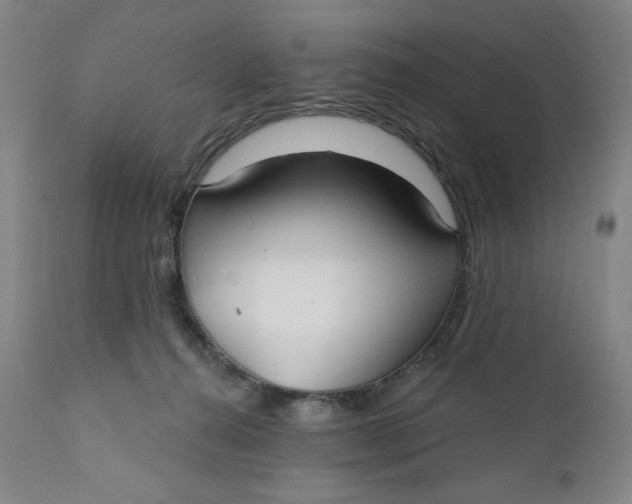 X0000112020272200908241522